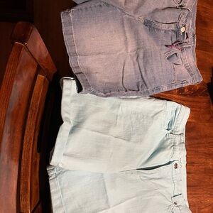 Gloria Vanderbilt Blue Shirts Bundle